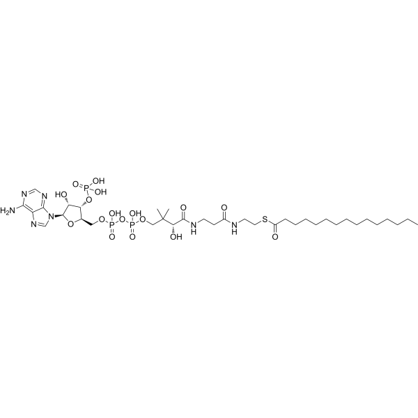Pentadecanoyl coenzyme A (Pentadecanoyl-CoA) 24870-39-1